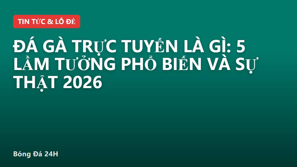Đá gà trực tuyến là gì: 5 lầm tưởng phổ biến và sự thật 2026